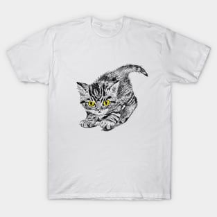 Cute kitten T-Shirt